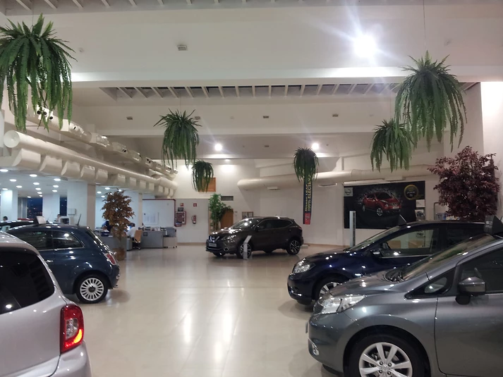 Reforma de concesionario Nissan en Gran Canaria